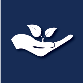 New Initiatives